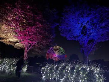 万博記念公園お祭り広場に投稿された画像（2026/9/22）
