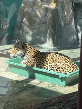 天王寺動物園に投稿された画像（2026/9/22）