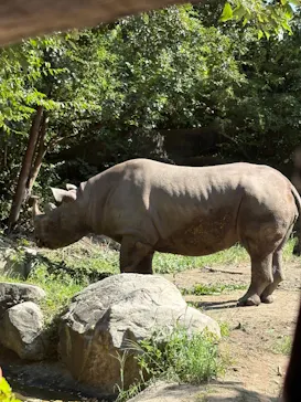 天王寺動物園に投稿された画像（2026/9/22）