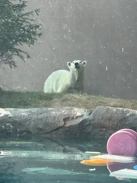 天王寺動物園に投稿された画像（2026/9/22）