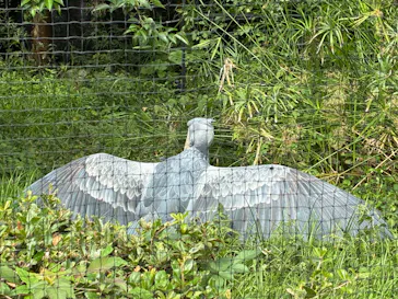 恩賜上野動物園に投稿された画像（2026/9/22）