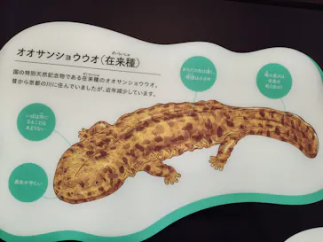 京都水族館に投稿された画像（2026/9/22）