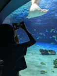 サンシャイン水族館に投稿された画像（2026/9/22）