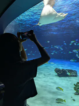 サンシャイン水族館に投稿された画像（2026/9/22）