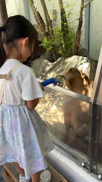 世界淡水魚園水族館　アクア・トトぎふに投稿された画像（2026/9/22）