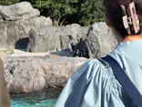 葛西臨海水族園に投稿された画像（2026/9/22）