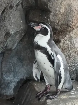 仙台うみの杜水族館に投稿された画像（2026/9/22）