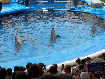 仙台うみの杜水族館に投稿された画像（2026/9/22）