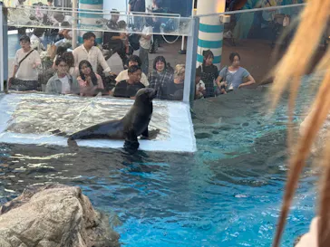 京都水族館に投稿された画像（2026/9/22）