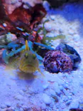竹島水族館に投稿された画像（2026/9/22）