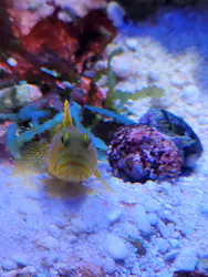 竹島水族館に投稿された画像（2026/9/22）