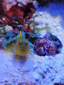 竹島水族館に投稿された画像（2026/9/22）