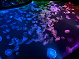 すみだ水族館に投稿された画像（2026/9/22）