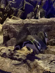 すみだ水族館に投稿された画像（2026/9/22）