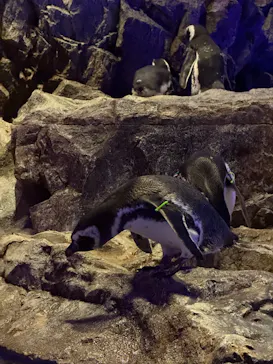 すみだ水族館に投稿された画像（2026/9/22）