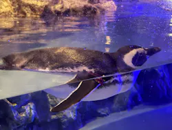 すみだ水族館に投稿された画像（2026/9/22）