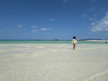 シメラギに投稿された画像（2026/9/22）