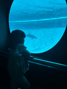 南知多ビーチランド＆南知多おもちゃ王国に投稿された画像（2026/9/22）