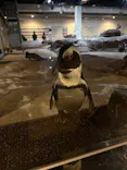 京都水族館に投稿された画像（2026/9/22）