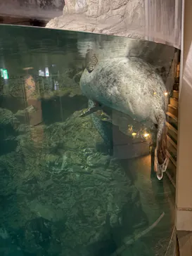 京都水族館に投稿された画像（2026/9/22）