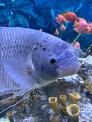 ひらかたパークに投稿された画像（2026/9/22）