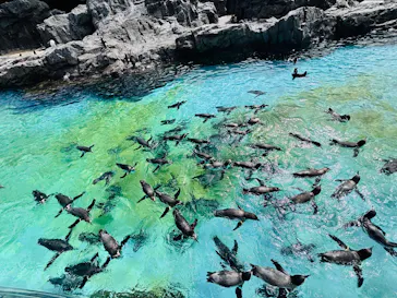 葛西臨海水族園に投稿された画像（2026/9/22）
