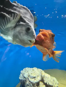 葛西臨海水族園に投稿された画像（2026/9/22）