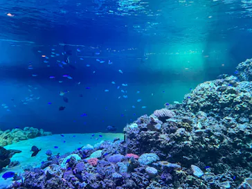 葛西臨海水族園に投稿された画像（2026/9/22）