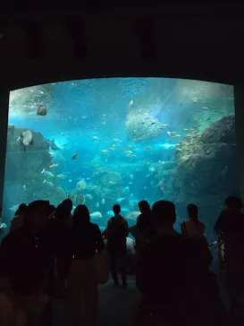 新江ノ島水族館に投稿された画像（2026/9/22）