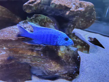 大分マリーンパレス水族館 「うみたまご」に投稿された画像（2026/9/22）