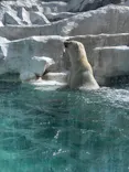 恩賜上野動物園に投稿された画像（2026/9/22）