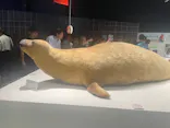 大南極展に投稿された画像（2026/9/22）