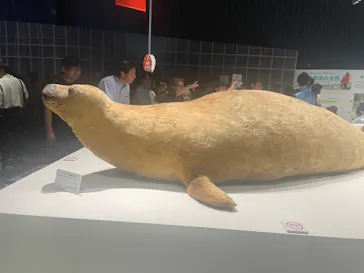 大南極展に投稿された画像（2026/9/22）