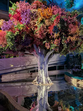 BOTANICA MUSEUMに投稿された画像（2026/9/22）