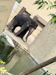 天王寺動物園に投稿された画像（2026/9/22）