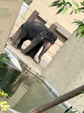 天王寺動物園に投稿された画像（2026/9/22）