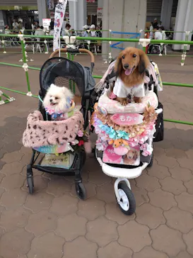Pet博 大阪会場 Pet Exposition in Osakaに投稿された画像（2026/9/22）