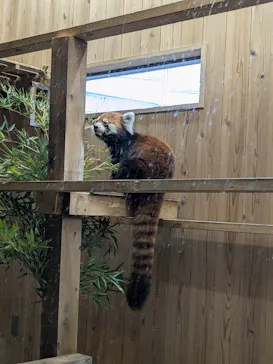 名古屋市東山動植物園に投稿された画像（2026/9/22）