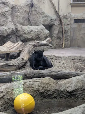 名古屋市東山動植物園に投稿された画像（2026/9/22）