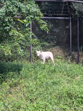 名古屋市東山動植物園に投稿された画像（2026/9/22）