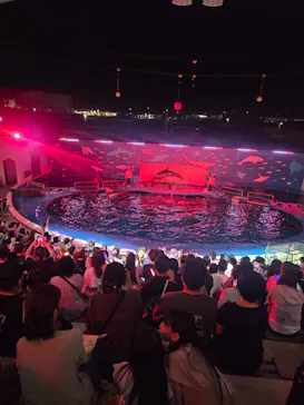 仙台うみの杜水族館に投稿された画像（2026/9/22）