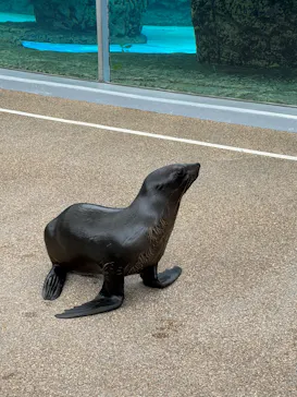 京都水族館に投稿された画像（2026/9/22）