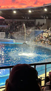 京都水族館に投稿された画像（2026/9/22）