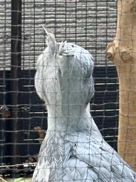 恩賜上野動物園に投稿された画像（2026/9/22）
