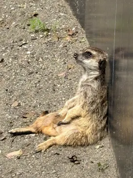 恩賜上野動物園に投稿された画像（2026/9/22）