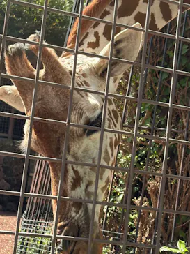 恩賜上野動物園に投稿された画像（2026/9/22）