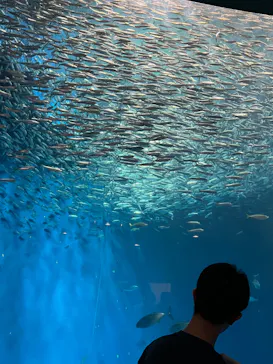 名古屋港水族館に投稿された画像（2026/9/22）