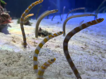 名古屋港水族館に投稿された画像（2026/9/22）