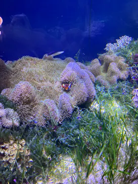 名古屋港水族館に投稿された画像（2026/9/22）