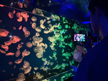 名古屋港水族館に投稿された画像（2026/9/22）